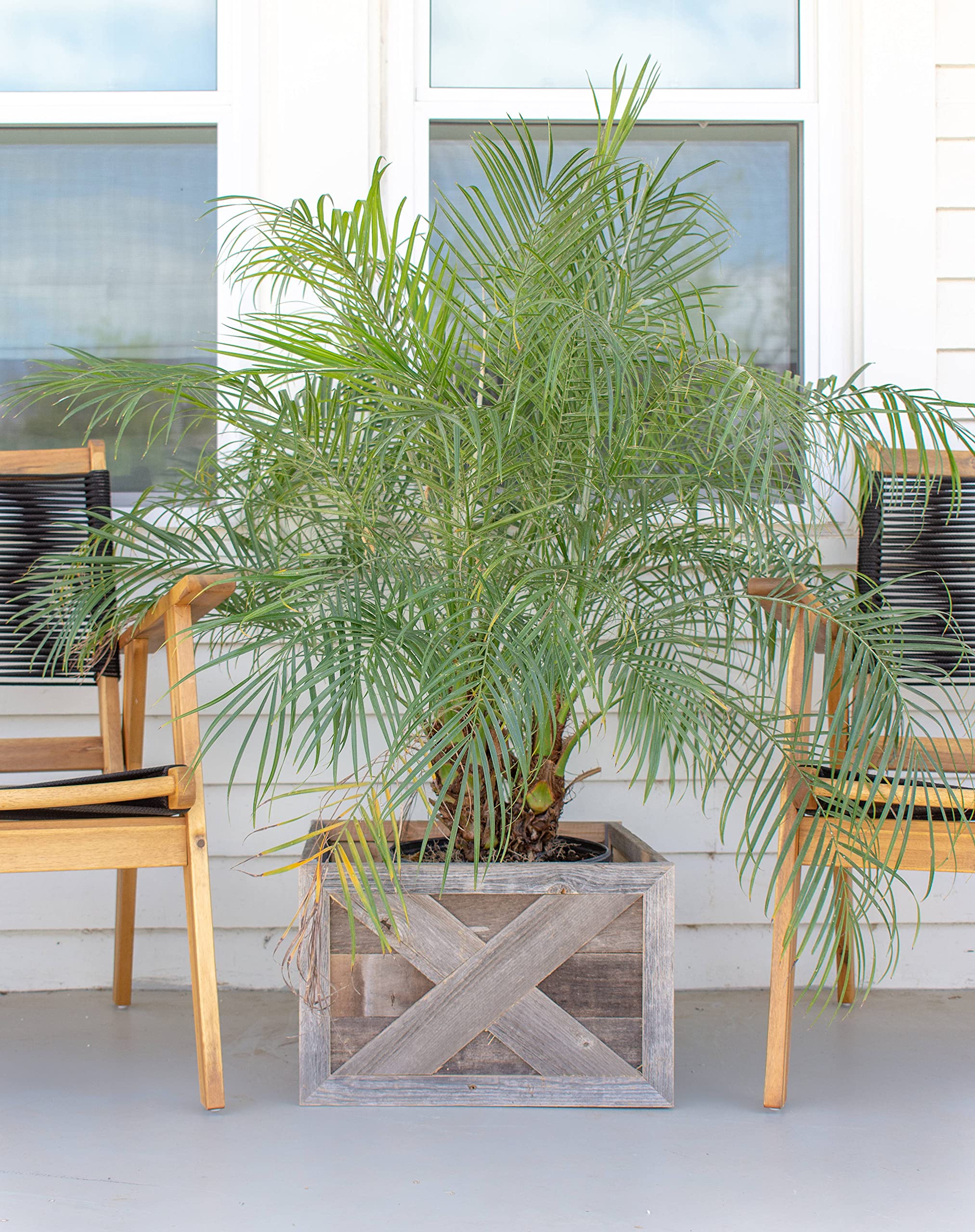 BarnwoodUSA Real Wood Plant and Tree Box Collar, Natural Weathered Gray, Farmhouse Style, Fits Flower and Tree Pots - Image 6