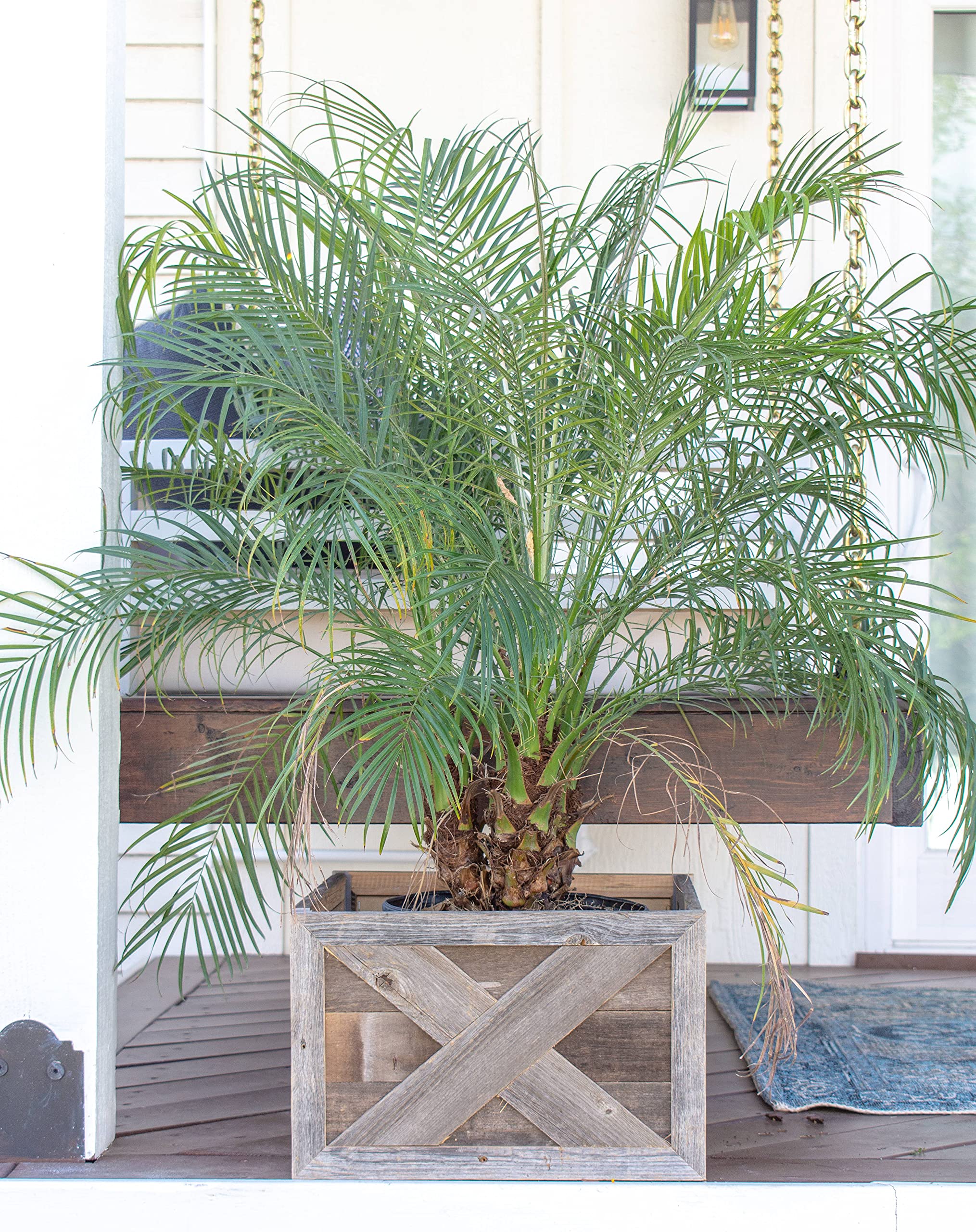 BarnwoodUSA Real Wood Plant and Tree Box Collar, Natural Weathered Gray, Farmhouse Style, Fits Flower and Tree Pots - Image 9